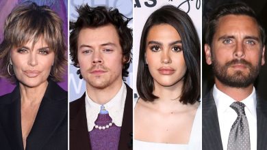 Lisa Rinna publica la foto de Harry Styles después de sombrear al novio de Amelia, Scott Disick